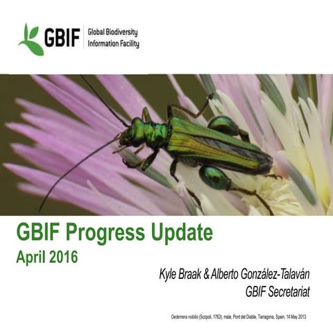 GBIF Work Programme 2016 Update