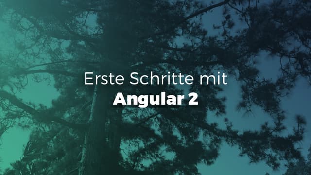 2016 First steps with Angular 2 – enterjs