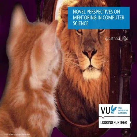 Novel Perspectives on Mentoring in Computer Science
