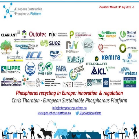 Phosphorus recycling in Europe: innovation & regulation - Phorwater seminar M...