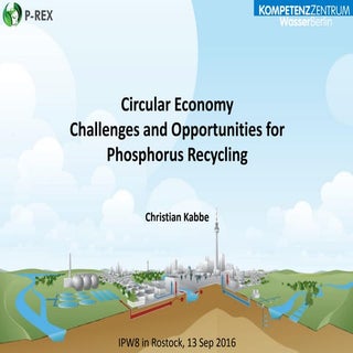 Circular Economy Challenges and Opp...