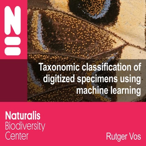 Taxonomic classification of digitized specimens using machine learning