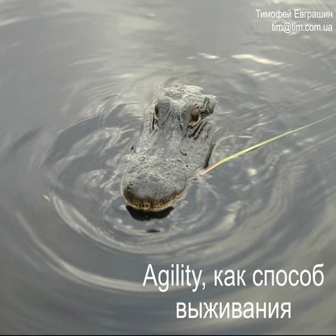 Agility, как способ выживания компаний (ver. 2)