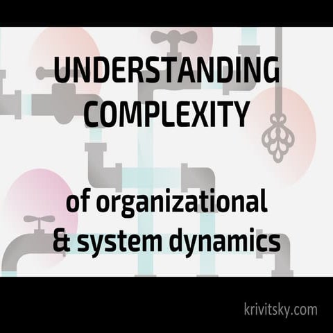 Understanding Complexity of Organizational and System Dynamics