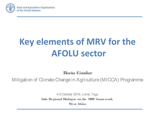 Key elements of MRV for the AFOLU sector