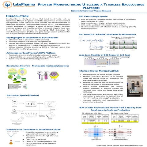 Protein Manufacturing Utilizing a Titerless Baculovirus Platform