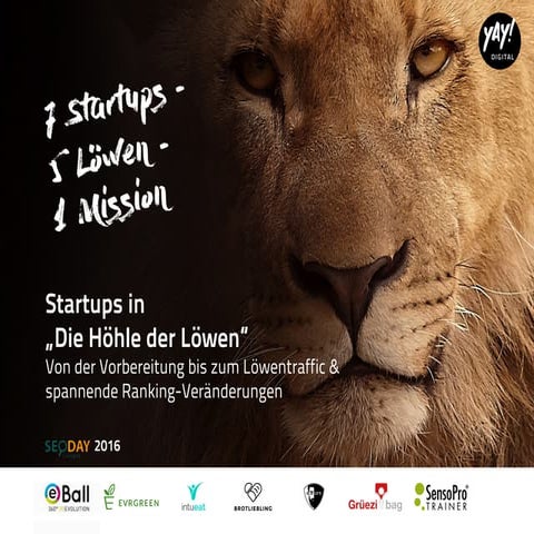 Startups in „Die Höhle der Löwen“ - SEODAY 2016