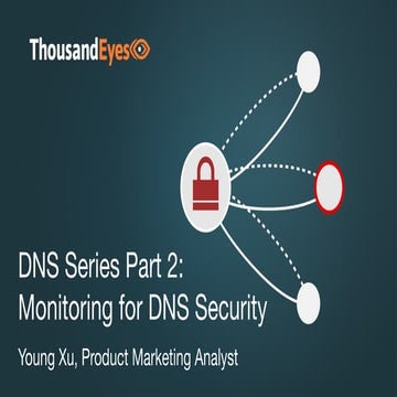 Monitoring for DNS Security