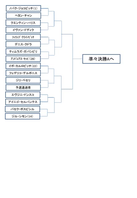 全豪オープンテニス16 ドロー トーナメント表