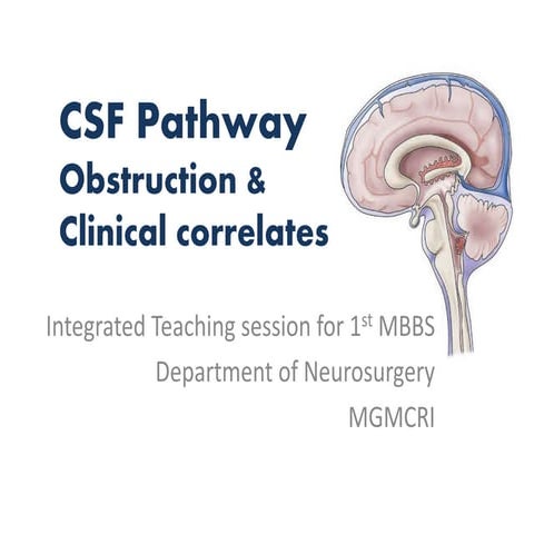 2016.03.16 csf pathway abnormalities