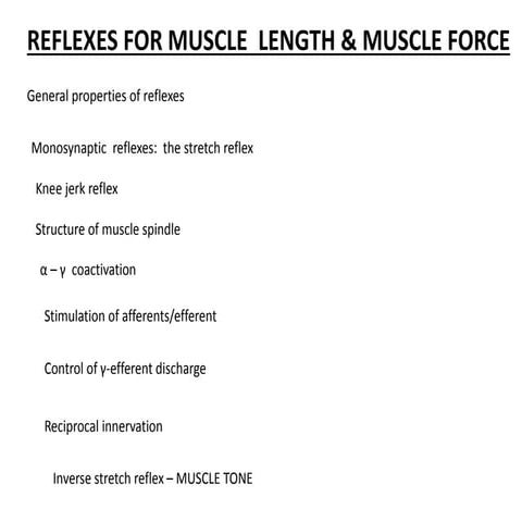 2016.03.23 monosynaptic reflex