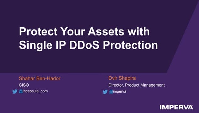Protect Your Assets with Single IP DDoS Protection