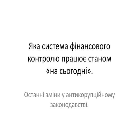 Яка система фінансового контролю працює станом на сьогодні