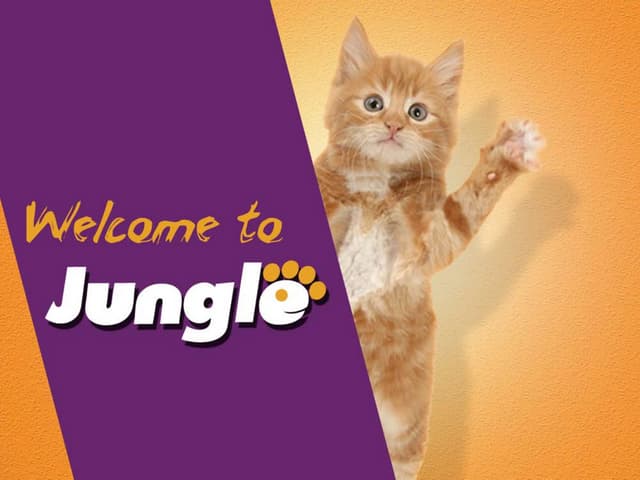 מצגת ג'ונגל 2016 