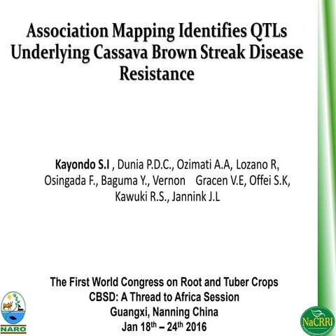 2016. kayondo si. associatonn mapping identifies qt ls underlying cassava bro...