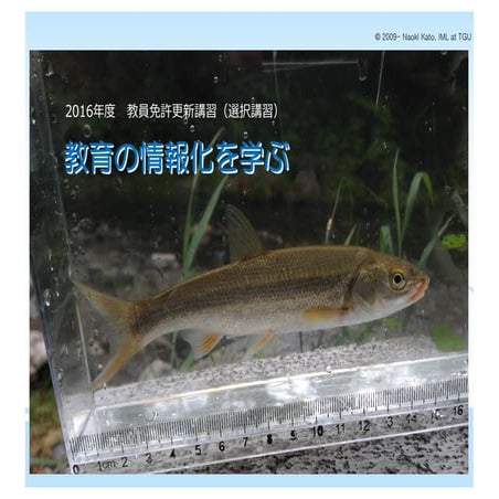 更新講習2016「教育の情報化を学ぶ」（２）