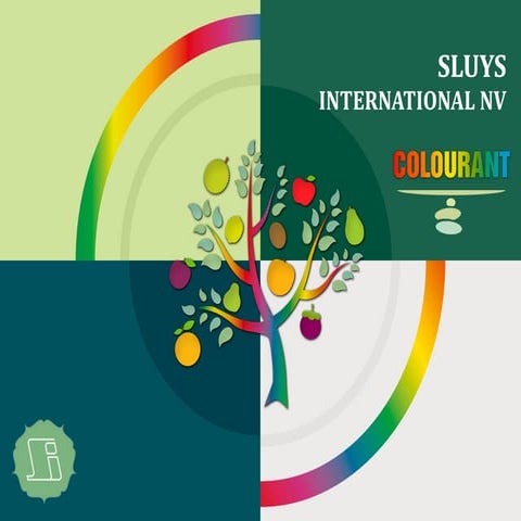 Presentation - Sluys International NV's Colourant