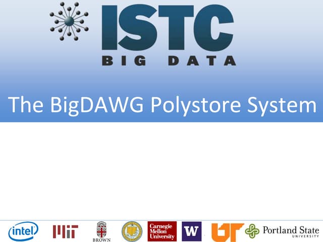 bigdawg overview