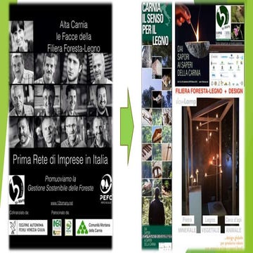 Alta Carnia: le facce della filiera foresta-legno 