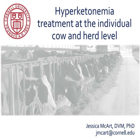 Hyperketonemia Treatment at the Individual Cow and Herd Level
