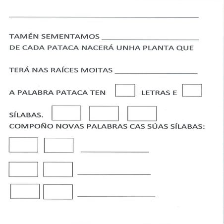 FICHAS DE AULA: PATACAS E LIMÓNS