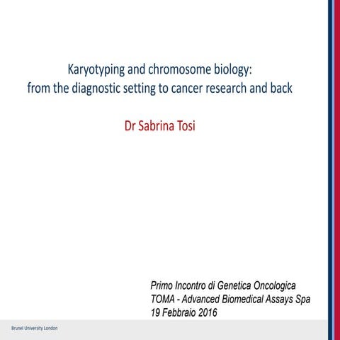20160219 - Sabrina Tosi -  Karyotyping and chromosome biology: from the diag...