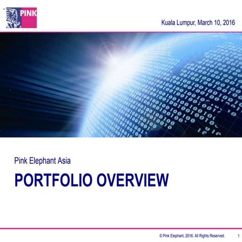 Pink Elephant Asia Portfolio Overview