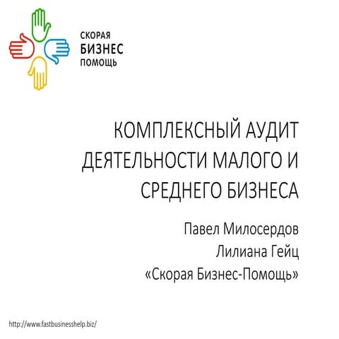 20160329 Комплексный аудит малого и среднего бизнеса