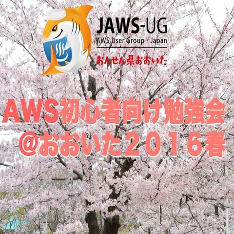 20160402 jaws oita_opening