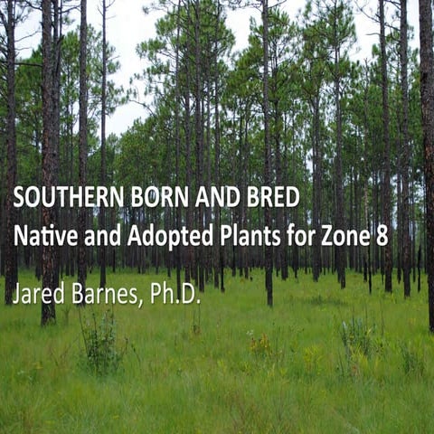 Southern Born and Bred: Native & Adopted Plants for Zone 8