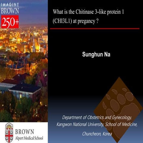 (마더리스크라운드) Immunology in pregnancy /강원대 의대 나성훈 교수