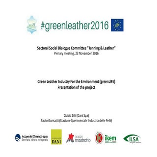 2016 11 23_green_li_fe e incontro d...