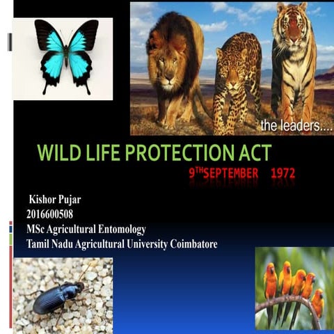 Wild Life Protection Act 1972
