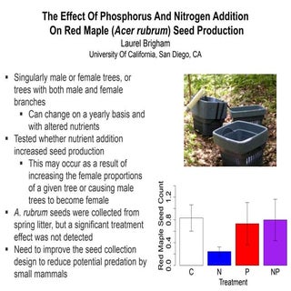 The effect of P and N addition on r...