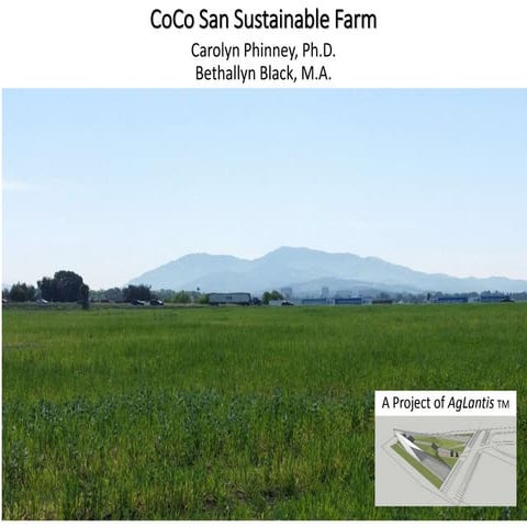 Urban Farming with Greenhouses and Recycled Water