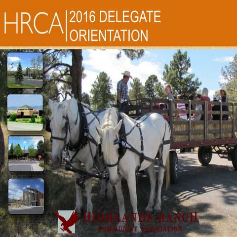 2016 Delegate Orientation