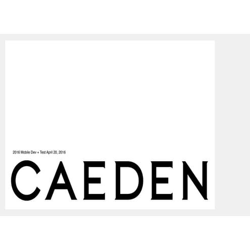 2016 dev+test caeden_infostretch