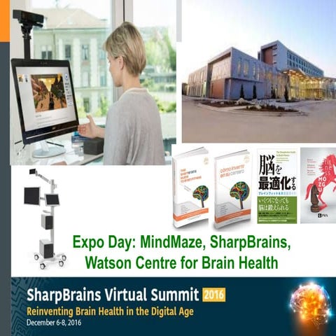 Computer based Cognitive Rehabilitation; From introduction to practice ...