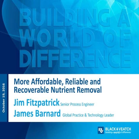 More Affordable, Reliable and Recoverable Nutrient Removal