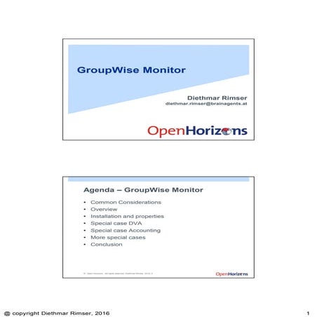 Open Horizons - GroupWise Monitor English