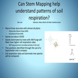 If a tree stands in the forest and ...