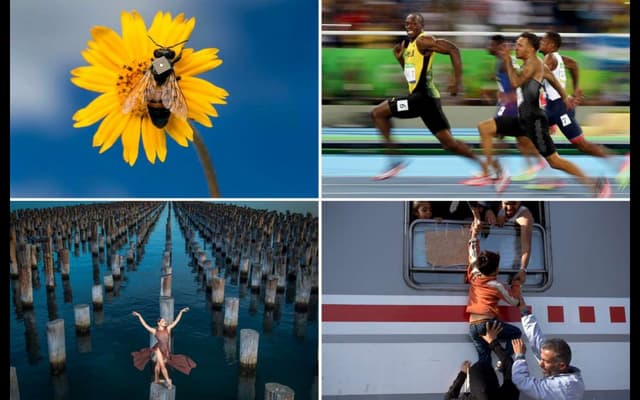  Nikon-Walkley Awards 2016: The Bes...