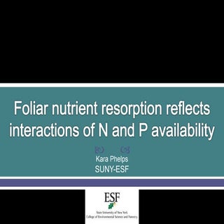 Foliar nutrient resorption reflects...