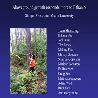 Aboveground growth responds more to...