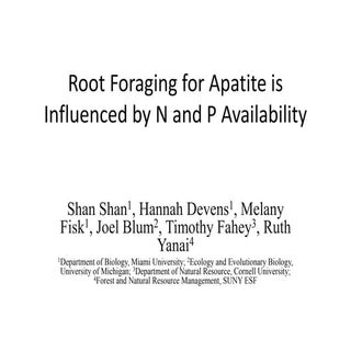 Root foraging for apatite is influe...