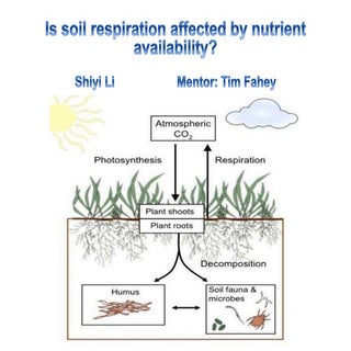 Is soil respiration affected by nut...