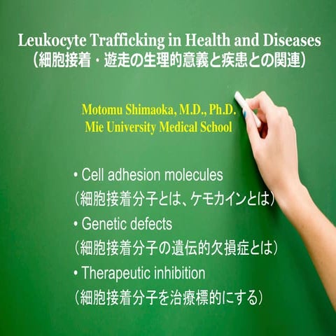Leukocyte Trafficking in Health and Diseases 2016