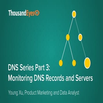 Monitoring DNS Records and Servers