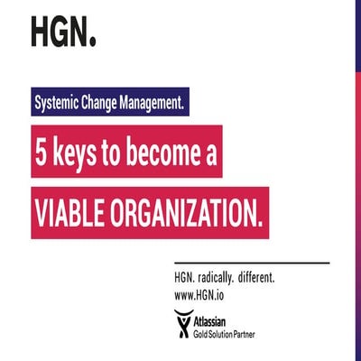 5 keys to become a VIABLE ORGANIZATION