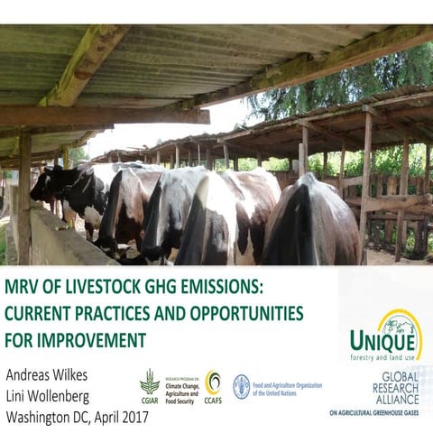 MRV of livestock GHG emissions: Current practices and opportunities for impro...